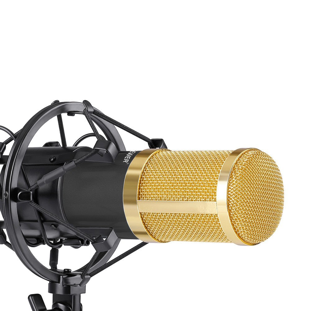 NW 800 CONDENSER MICROPHONE SHOCK MOUNT POWER CAB - The Best World Electric