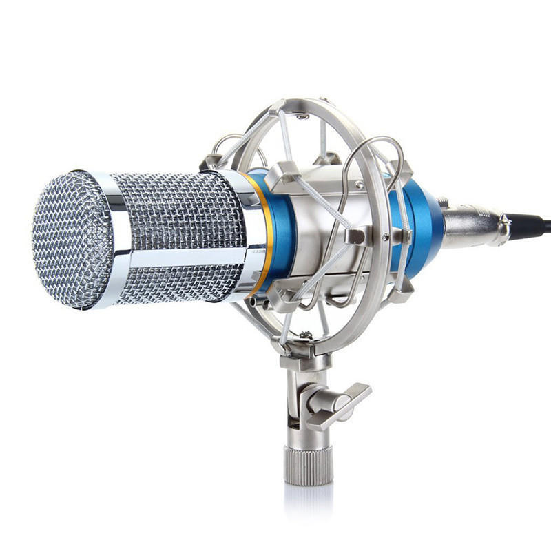 NW 800 CONDENSER MICROPHONE SHOCK MOUNT POWER CAB - The Best World Electric