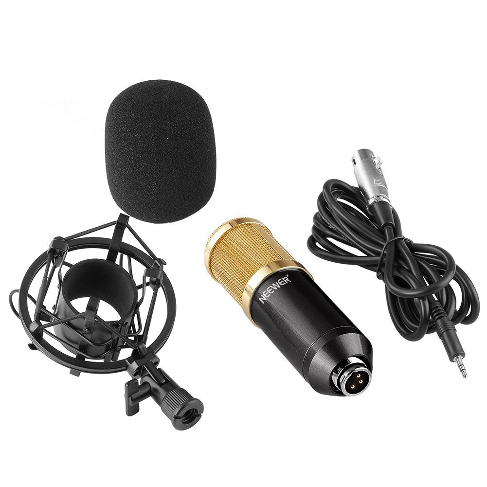 NW 800 CONDENSER MICROPHONE SHOCK MOUNT POWER CAB - The Best World Electric