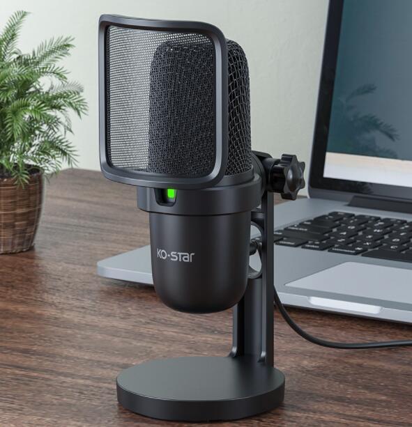 Notebook Computer Game Voice Live Broadcast Desktop USB Wired Microphone - The Best World Electric